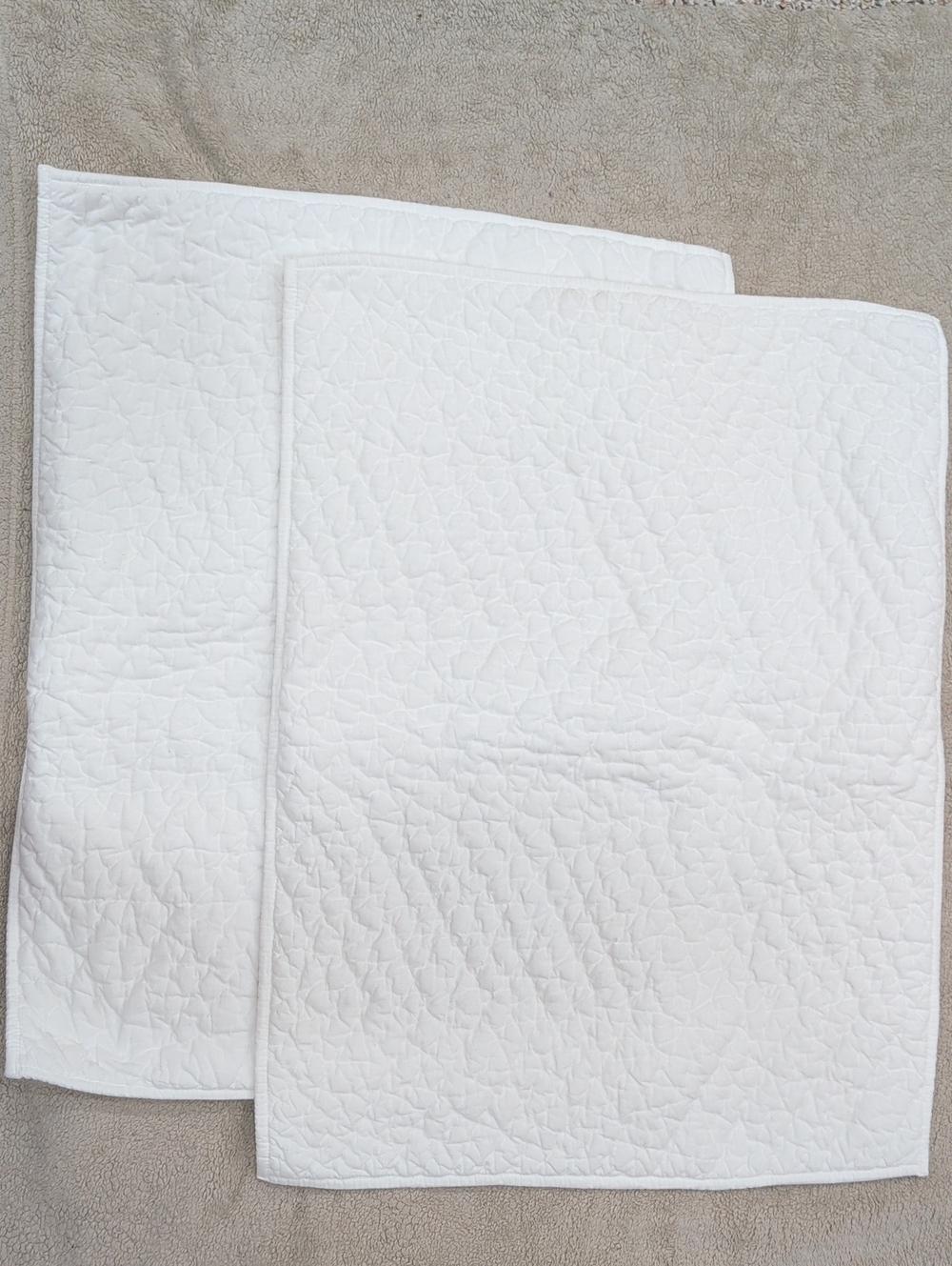 The Company Store White 2 Pillow Sharms 100% Cotton